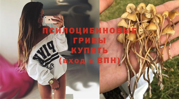 амфетамин Инсар